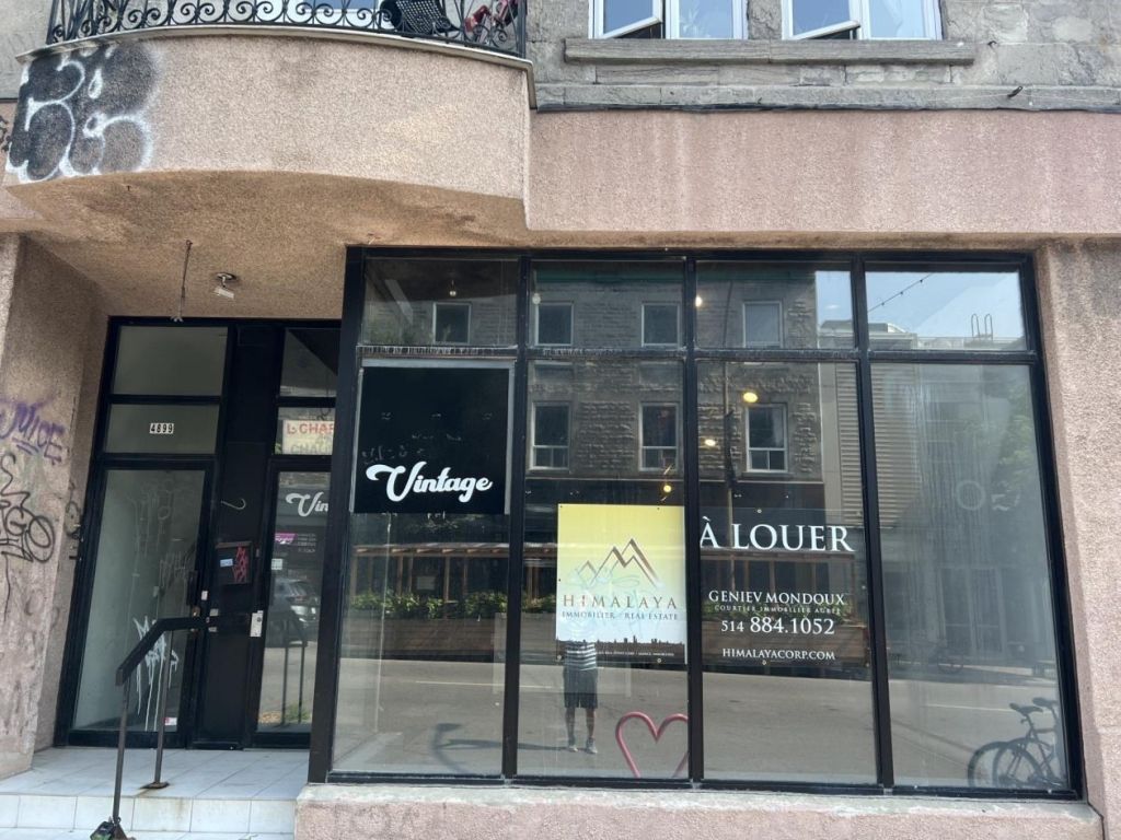 Local 2200pc sur 2 tages (RDC + sous-sol) Plateau-Mont-Royal