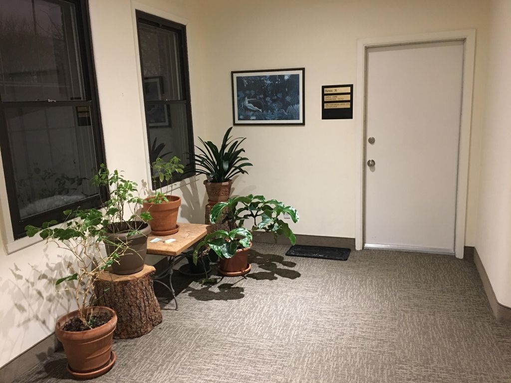 Professionel offices for rent in Ahuntsic