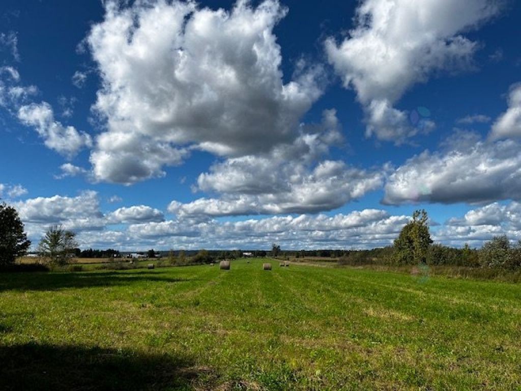 Terre agricole de 67 acres � vendre � Mirabel