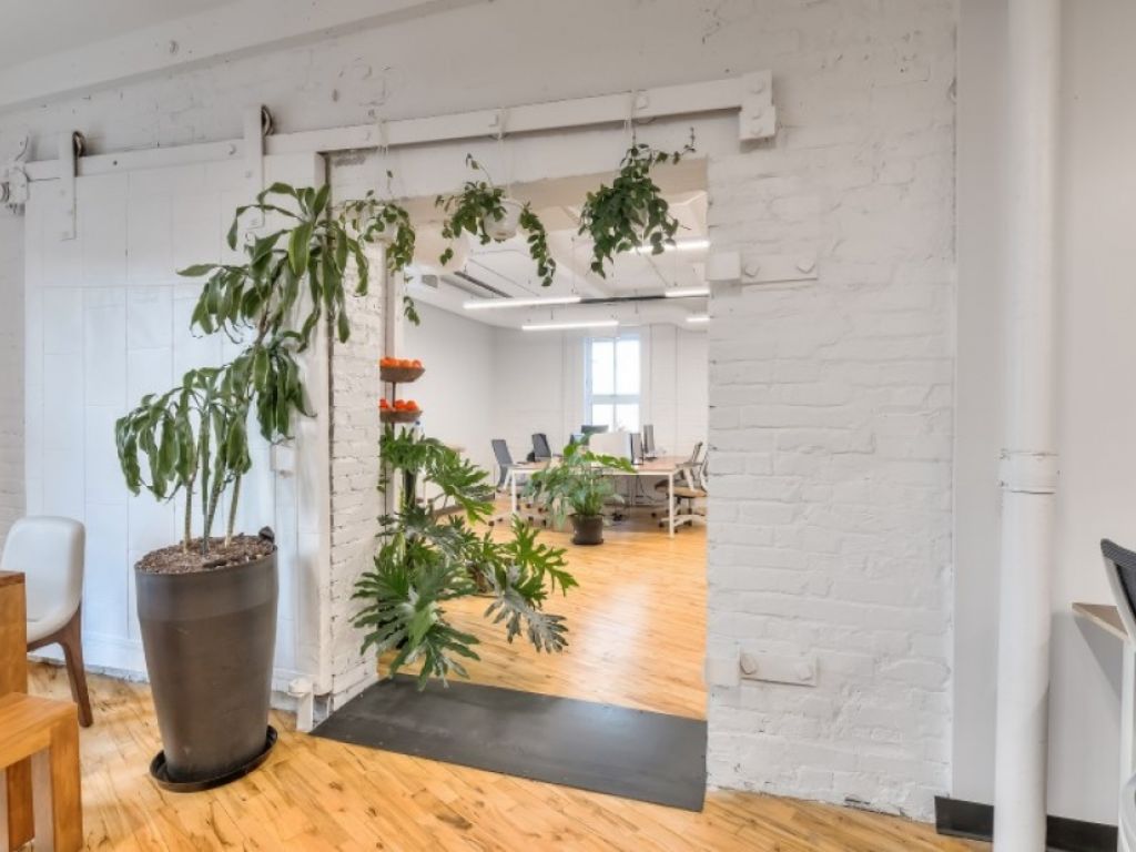 Newly renovated loft offices for rent in Little Italy/Rosemont