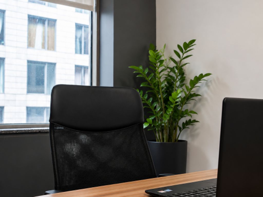 Professional offices for sublease � Old Montreal