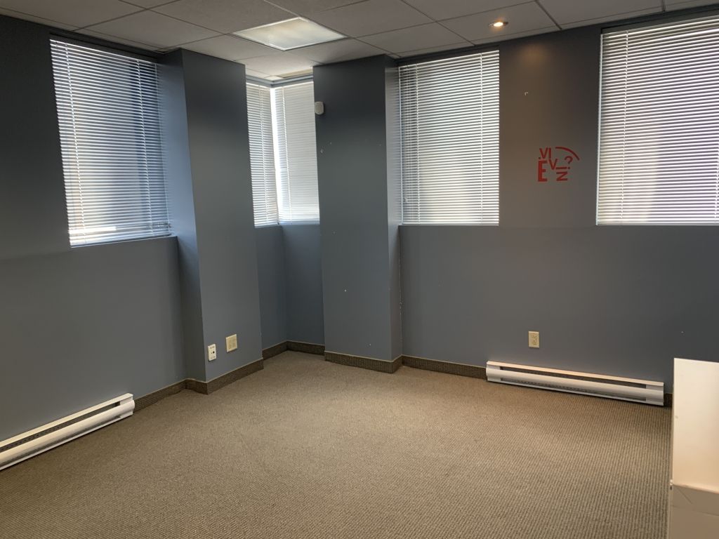 SPACE FOR RENT |  4600 SF |  Louis-H-Lafontaine, Montreal