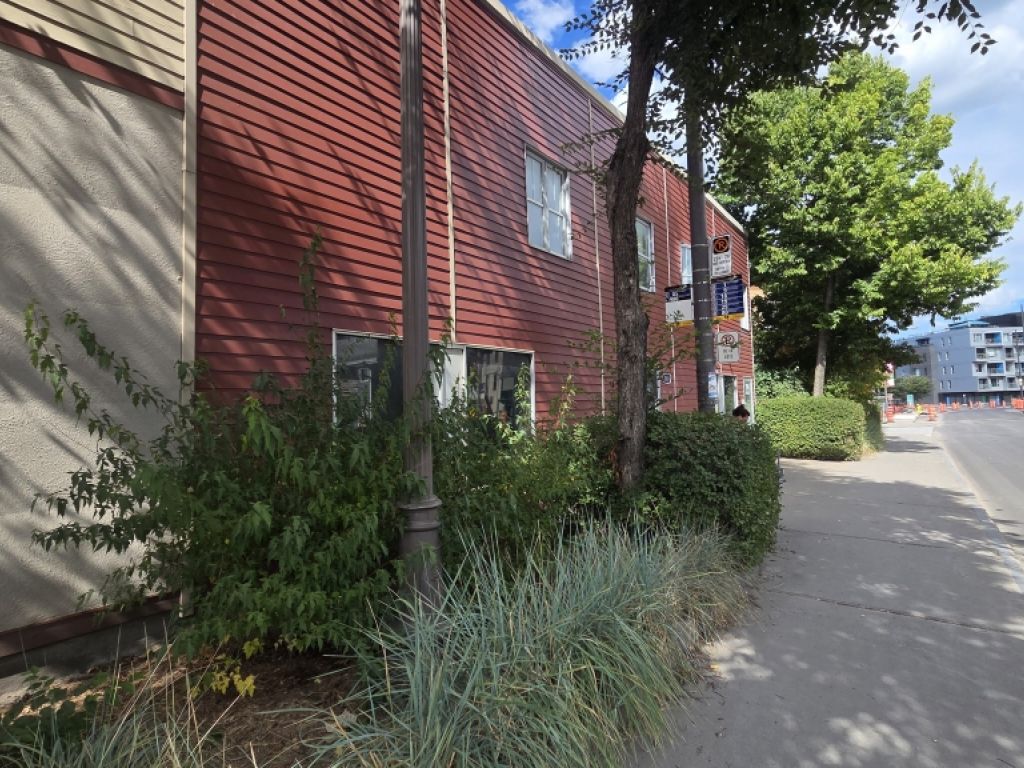 Espace commercial polyvalent  Saint-Roch